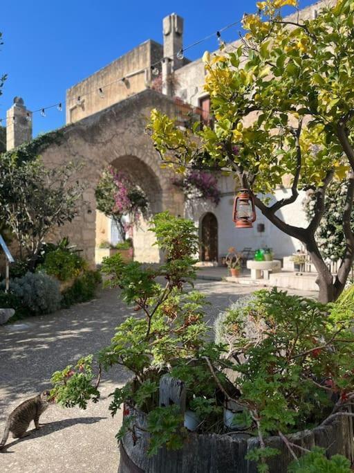 Casa Masseria Dell'800 Gargano. Le Mignole Monte SantʼAngelo Exterior foto